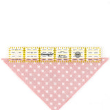 Omnigrid Ruler - 1" x 6"