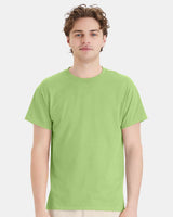 12 Pack Ecosmart Short Sleeve Crewneck T-Shirt For Adult