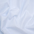 Cotton Shirting - White and Pale Blue Pinstripes - Designer Deadstock