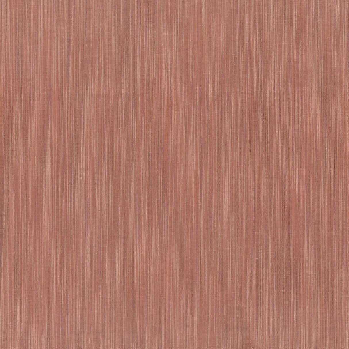 Cotton Fabric Brown Space Desert Honey 44/45" Wide