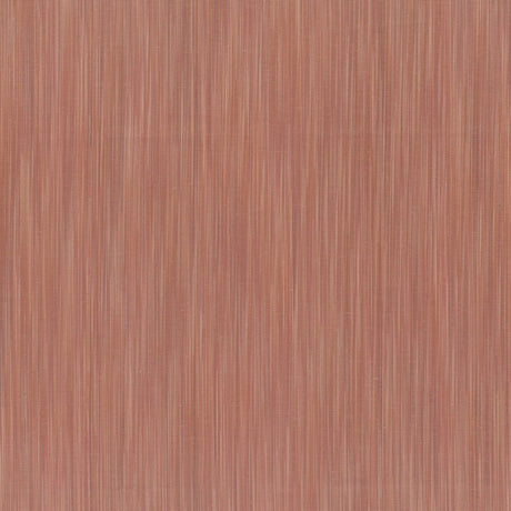Cotton Fabric Brown Space Desert Honey 44/45" Wide