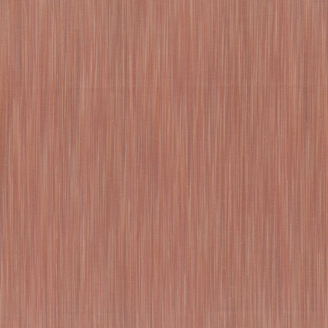 Cotton Fabric Brown Space Desert Honey 44/45" Wide