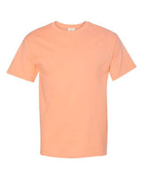 Hanes Unisex Authentic Cotton T-Shirt
