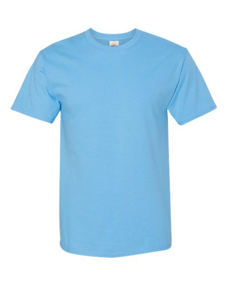 Hanes Unisex Authentic Cotton T-Shirt