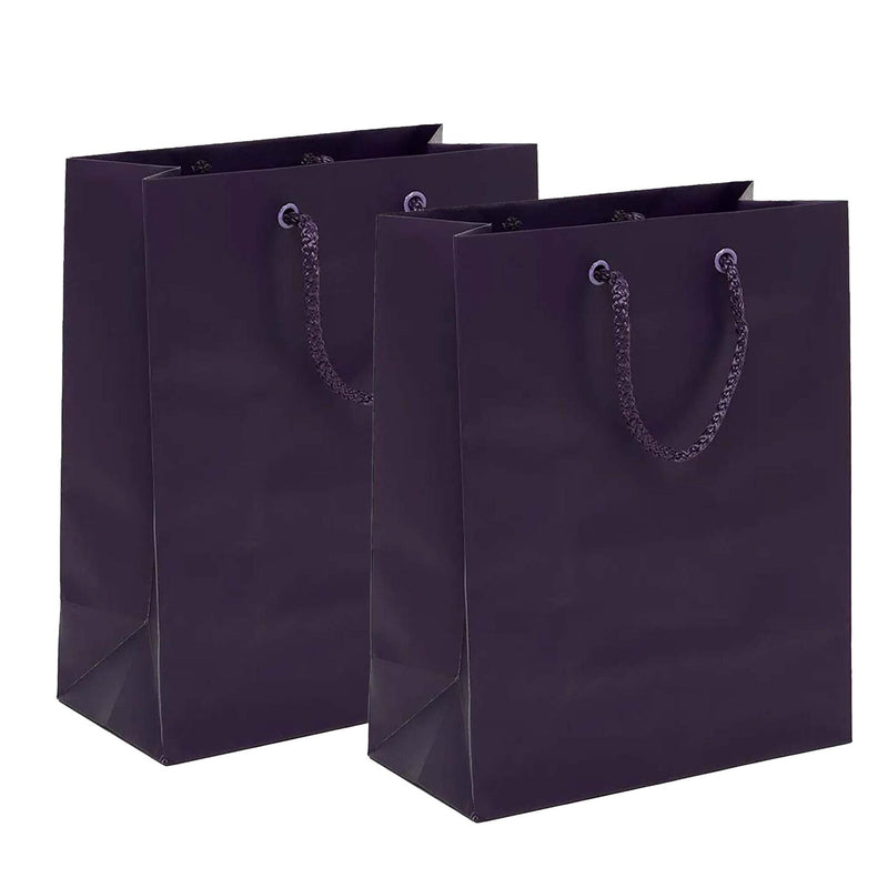 Sleek Matte Euro Tote 13" x 5" x 10"
