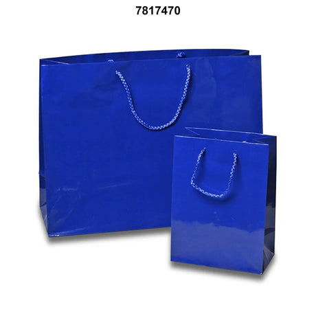16'' x 6'' x 12'' Glossy Euro Totes for Boutique Style Gifting
