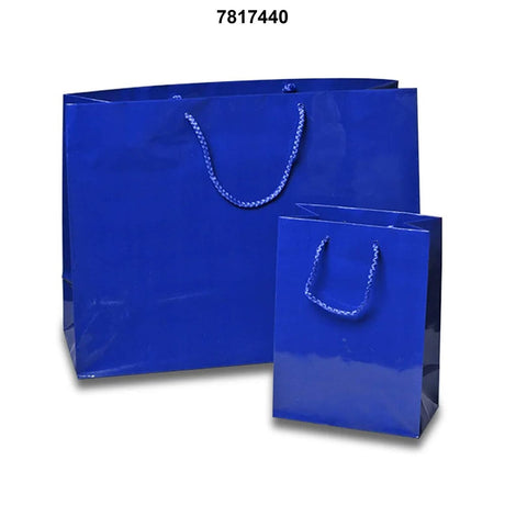 Small-Scale Elegance with Glossy Paper Euro Totes 8'' x 4'' x 10''
