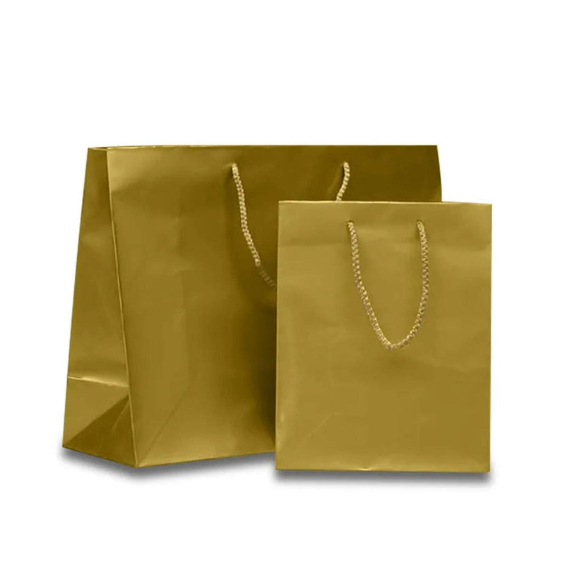 Compact and Durable Glossy Paper Euro Totes 8'' x 4'' x 10''