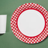 Red Gingham Paper Dinner Plates 24 Count Classic Picnic Party Plates 9 Inch