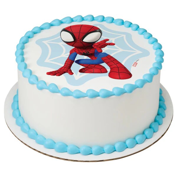 Marvel Spidey and His Amazing Friends Spidey Web Edible Cake Image PhotoCake