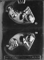 3D Pig Chocolate Mold - LPA099