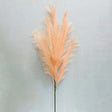 Pampas Grass Spray Blush 46 Inch