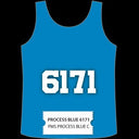International Coatings Cool Sport Inks