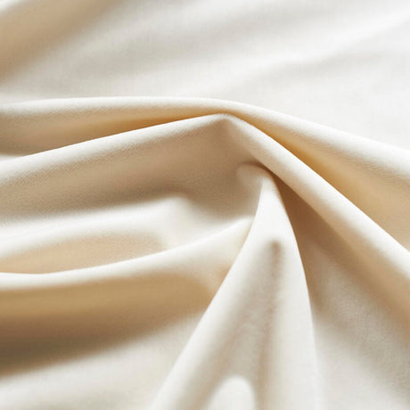 1 Yard Giselle Plush Velvet Fabric Luxuriously Soft & Richly Textured 100% Polyester, 55" Wide