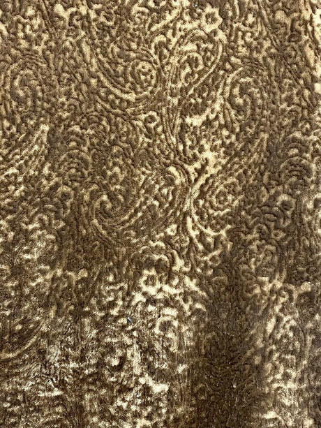 1 Yard Griffin Velvet Upholstery & Drapery Fabric