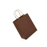 Kraft Tinted Color Shopping Bag 16" x 6" x 12"