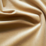 1 Yard Giselle Plush Velvet Fabric Luxuriously Soft & Richly Textured 100% Polyester, 55" Wide