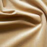 1 Yard Giselle Plush Velvet Fabric Luxuriously Soft & Richly Textured 100% Polyester, 55" Wide