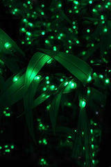 100 LED Outdoor String Light