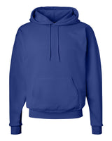 Hanes® Ecosmart Hooded Sweatshirt