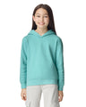 Comfort Colors® Lightweight Hooded Sweatshirt