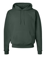 Hanes® Ecosmart Long Sleeve Hooded Sweatshirt