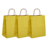Compact Kraft Tinted Paper Bag 5.5" x 3.25" x 8.375"
