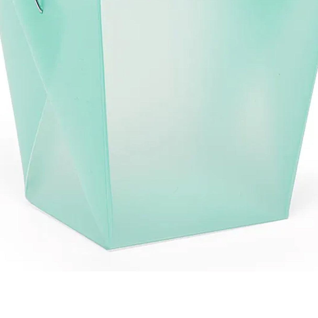 Sleek Frosted Plastic Organizer