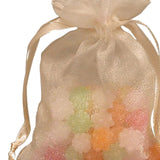 Chic Crystallized Organza Pouch 3" x 4"