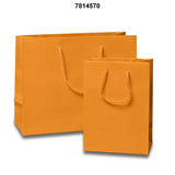Small Yet Stunning: Glossy Euro Totes 16'' x 6'' x 12''