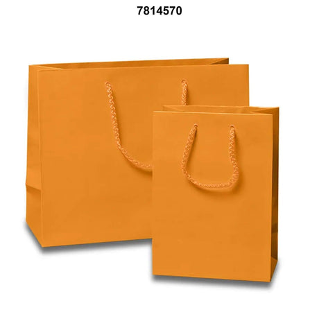 Small Yet Stunning: Glossy Euro Totes 16'' x 6'' x 12''