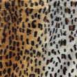 Baby Cheetah Original Velboa Fur Cheetah Animal Short Pile Fabric,