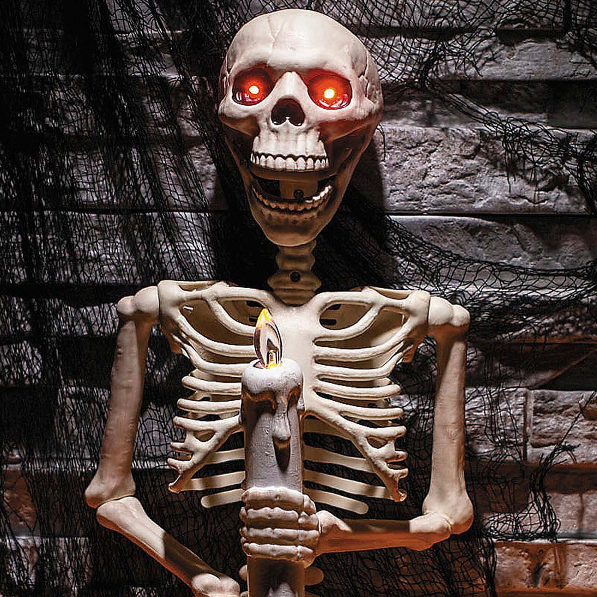 18 1/4 Inch Skeleton Holding Candle Wall Sconce Halloween Decoration