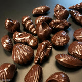 Chocolate World Polycarbonate Chocolate Mold, Shells & Sea Creatures, 22 Cavities