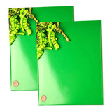 Elegant Solid Gift Wrap 24" x 833' 60 lbs for Large Packages