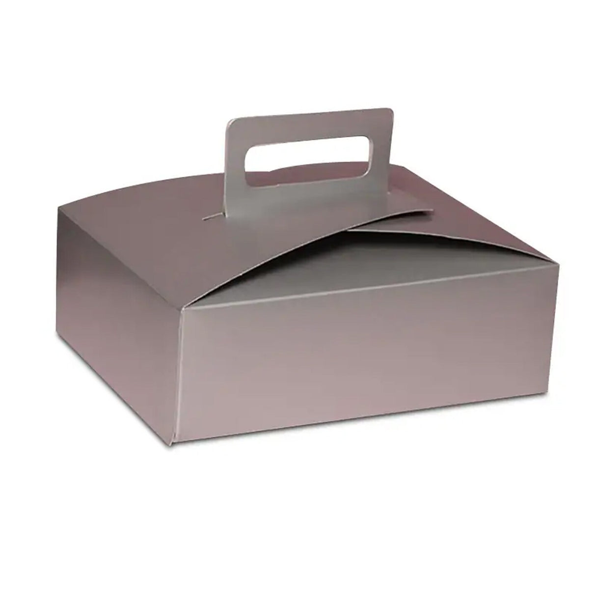 Handled Flat Take-Out Container Sturdy 9" x 7" x 3"