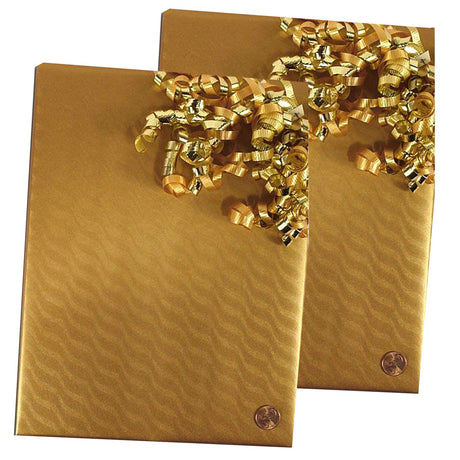 Sand Dunes Embossed Metallic Wrapping Paper 30" x 417" Roll