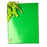 Elegant Solid Gift Wrap 24" x 833' 60 lbs for Large Packages