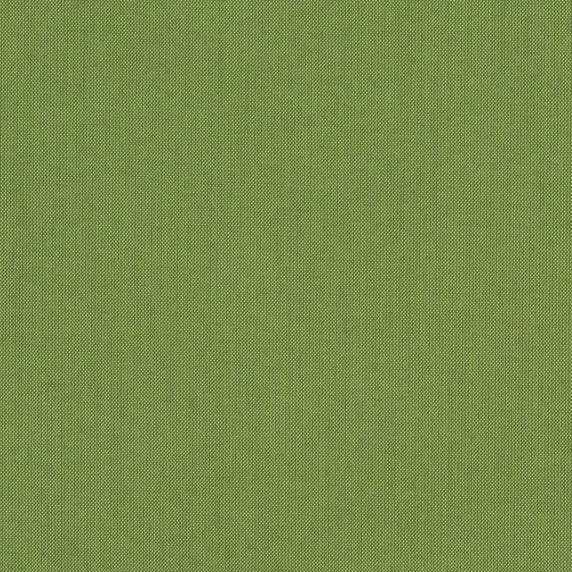 Sunbrella Spectrum Cilantro Green Sunbrella Acrylic Fabric - Cilantro Green, Subtle Texture, 54" Width (1 Yard)