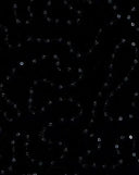 1 Yard Sequin Knit Fabric, Soft Stretch Shiny Finish 57/58" Wide