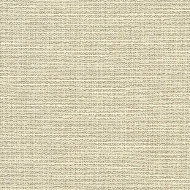 Sunbrella Silica Silver Acrylic Fabric - Marine Grade, Solid Variegated Silver, 60" Width (1 Yard)