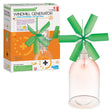 Windmill Generator LED Science Kit