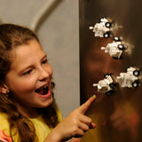 Magnetic Fridge Rover (1 EA)