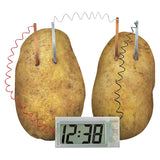 Potato Clock Science Kit