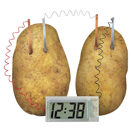 Potato Clock Science Kit