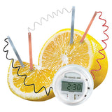 Lemon Clock Science Kit