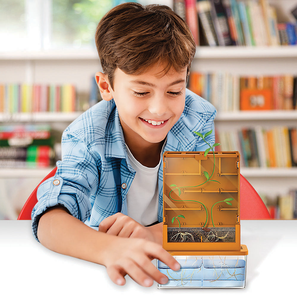 Grow-A-Maze Science Kit (1 EA)