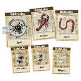 Creepy Crawly Digging Kit