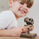 Dino Skull Model Kit