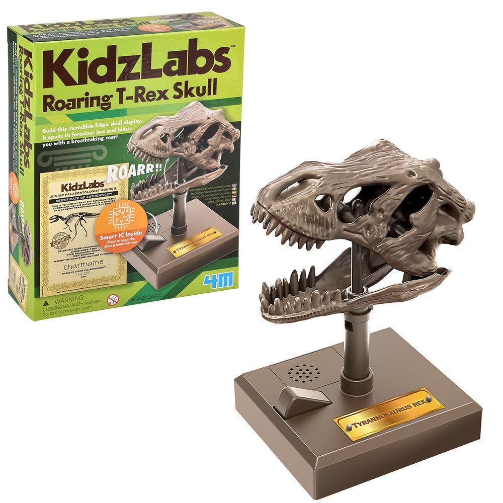 Dino Skull Model Kit